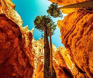 Zion National Park